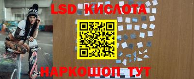 PSILOCYBIN Гусев