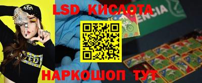 PSILOCYBIN Гусев