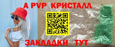 PSILOCYBIN Гусев