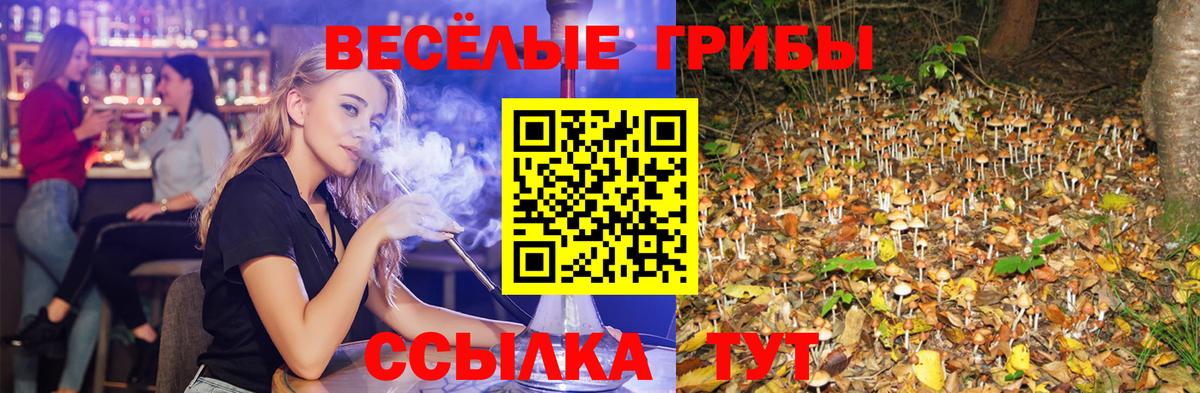 Калининград  Галлюциногенные грибы MAGIC MUSHROOMS  Вход с VPN 
